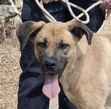 Mara Cerca Famiglia. Info Monica 3890238584